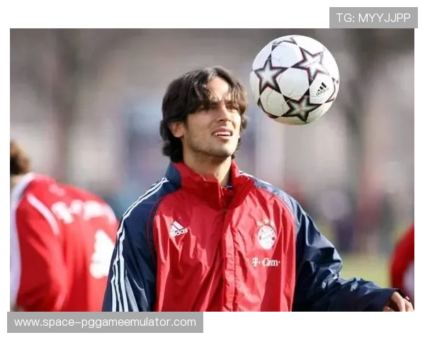 马马杜·萨科王子公园球场宣布退役，结束职业足球生涯